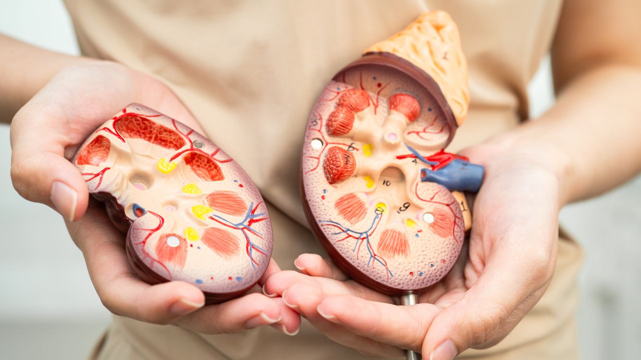 Kidney Stone Treatment